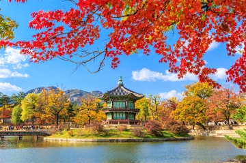 Seoul mùa thu - LuhanhSaigon 