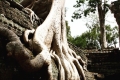 Tour Angkot Wat - Angkor thom - Chùa vàng, Chùa Bạc - Cung Điên Hoàng Gia - 4 ngày 3 đêm
