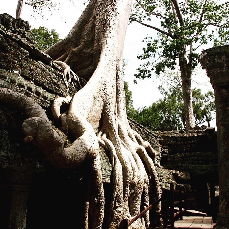 Tour Angkot Wat - Angkor thom - Chùa vàng, Chùa Bạc - Cung Điên Hoàng Gia - 4 ngày 3 đêm